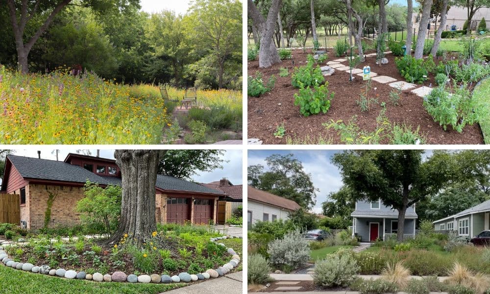 Low-maintenance native landscape