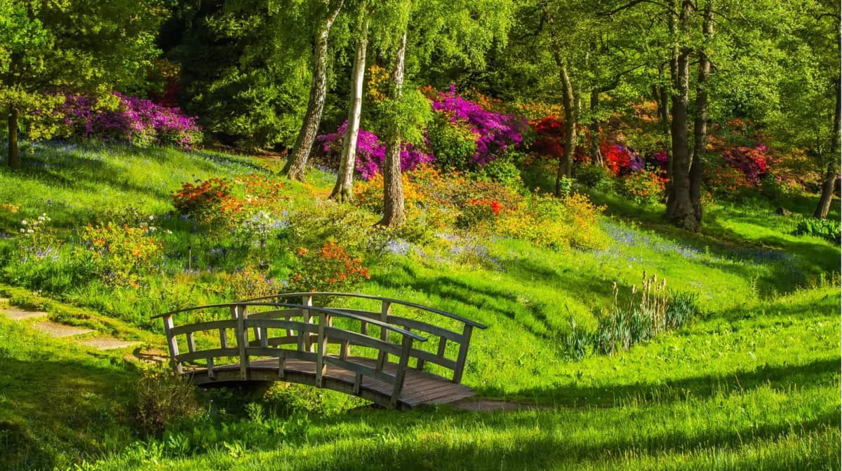 Native garden concept