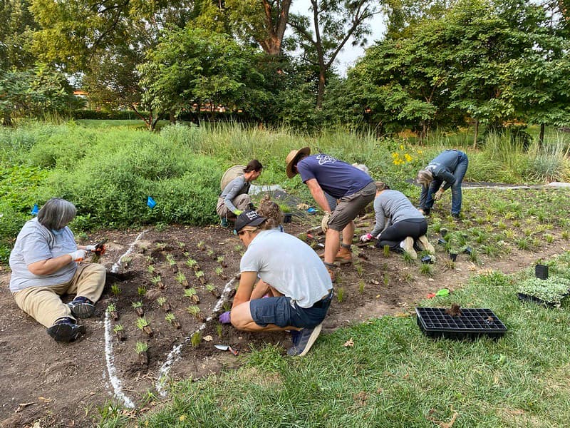 Volunteers learning together
